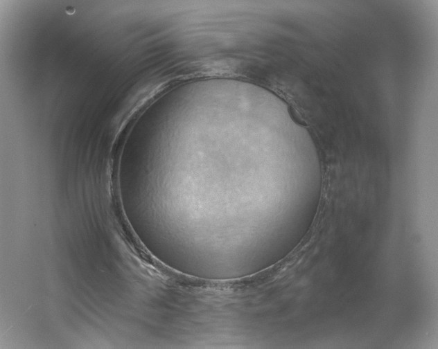 X0000064040194200602101433