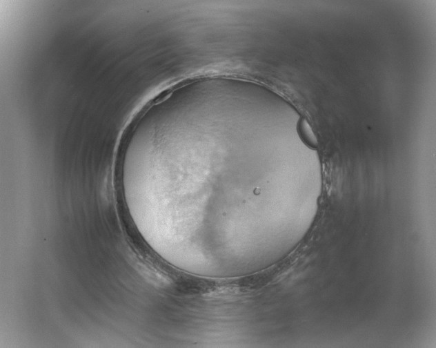 X0000064040196200602101433