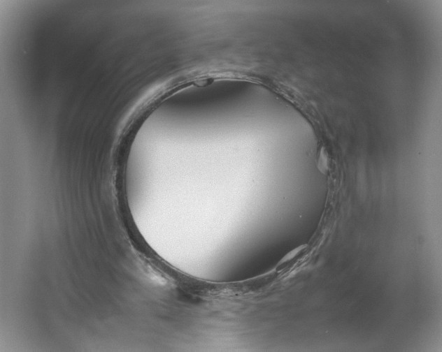 X0000064040197200602101433