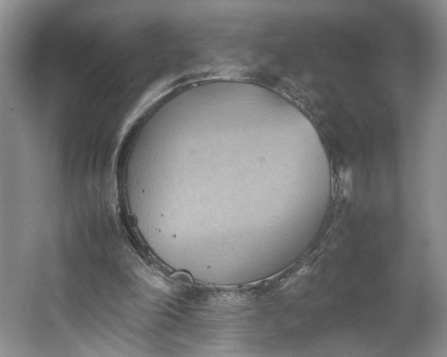 X0000064040198200602101433