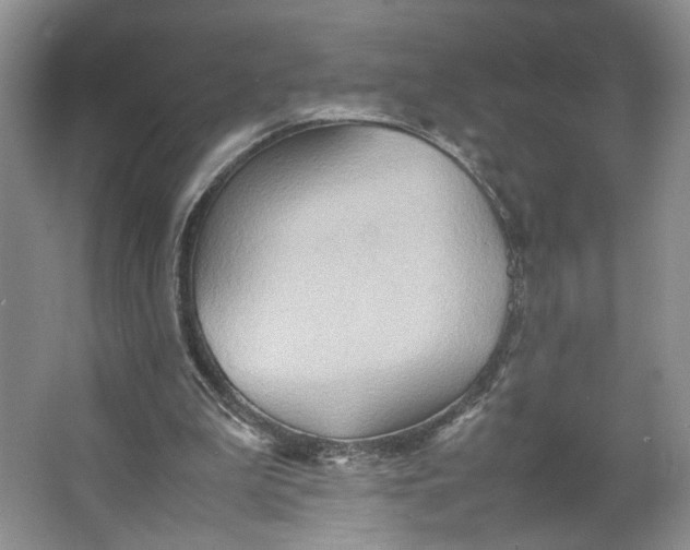 X0000064040199200602101433