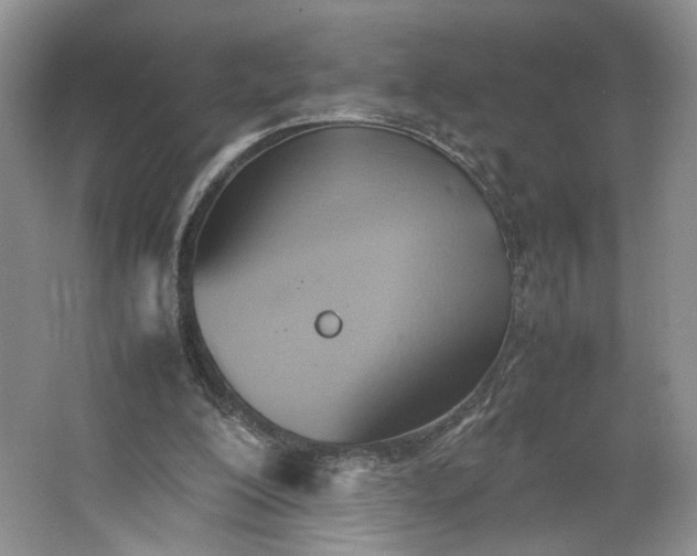 X0000064040200200602101433