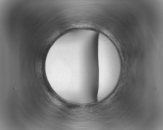 X0000064040201200602101433