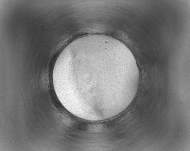 X0000064040202200602101433