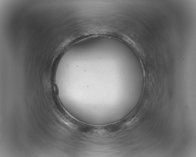 X0000064040203200602101433