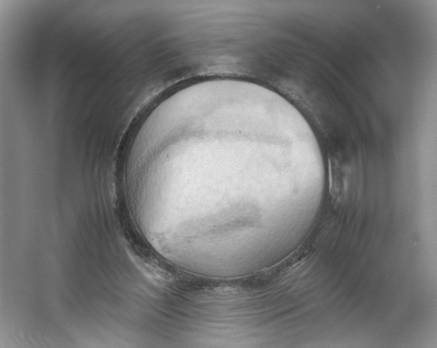 X0000064040204200602101433