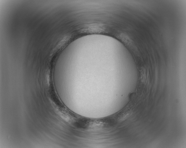 X0000064040206200602101433