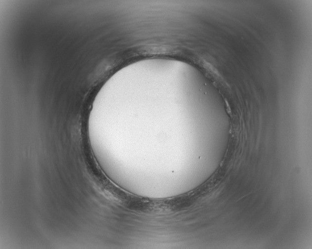 X0000064040207200602101433