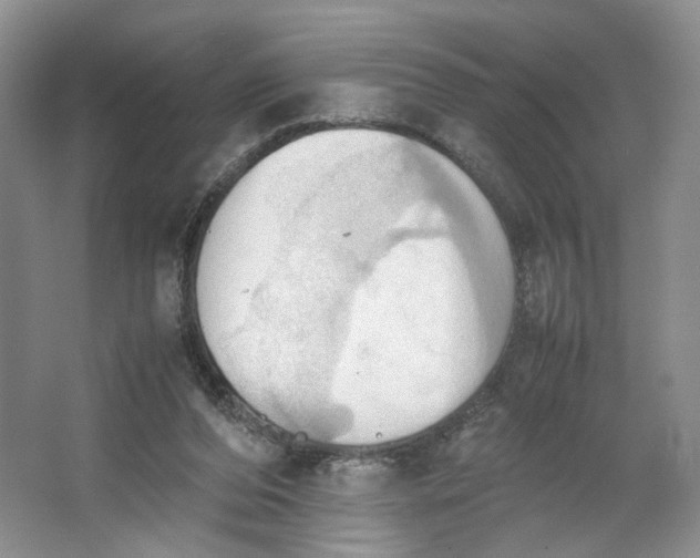 X0000064040208200602101433