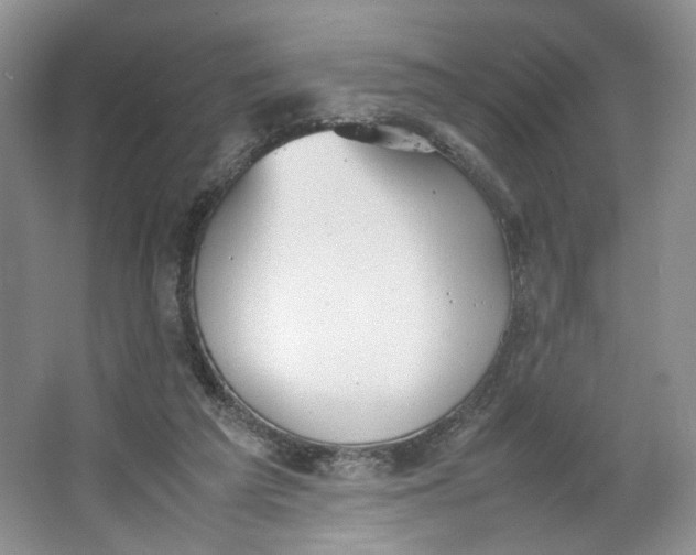 X0000064040209200602101433