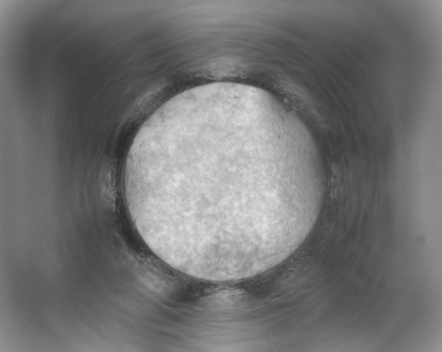 X0000064040210200602101433