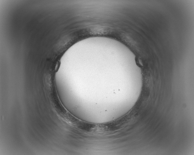 X0000064040211200602101433