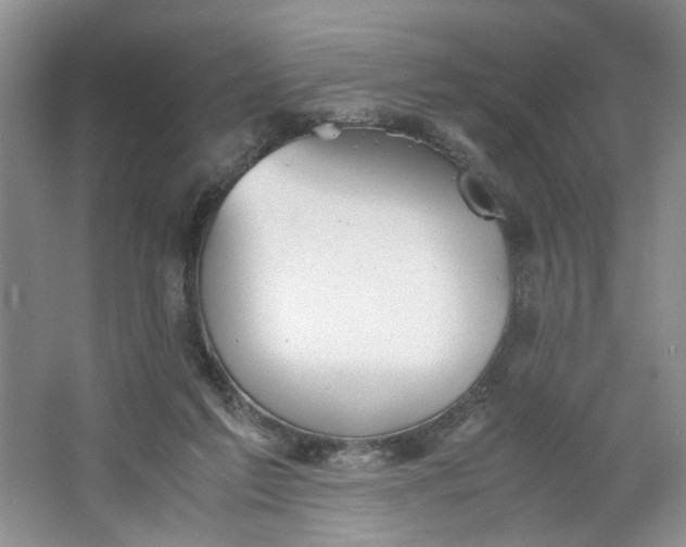 X0000064040213200602101433