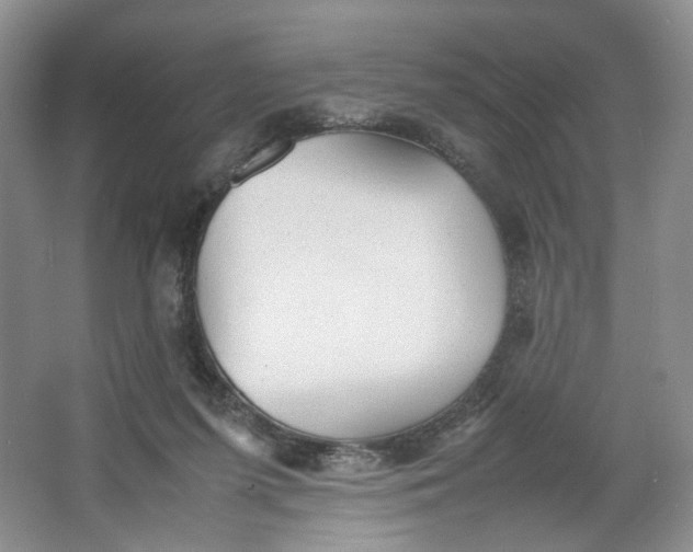 X0000064040215200602101433