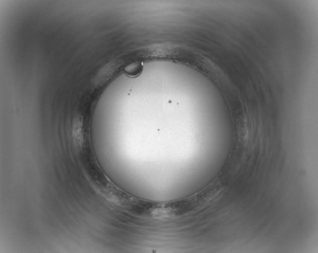 X0000064040216200602101433