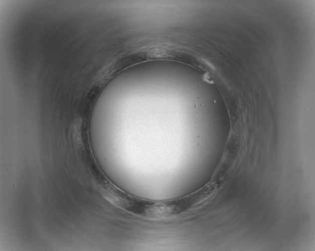 X0000064040217200602101433