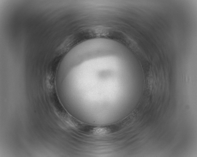 X0000064040218200602101433