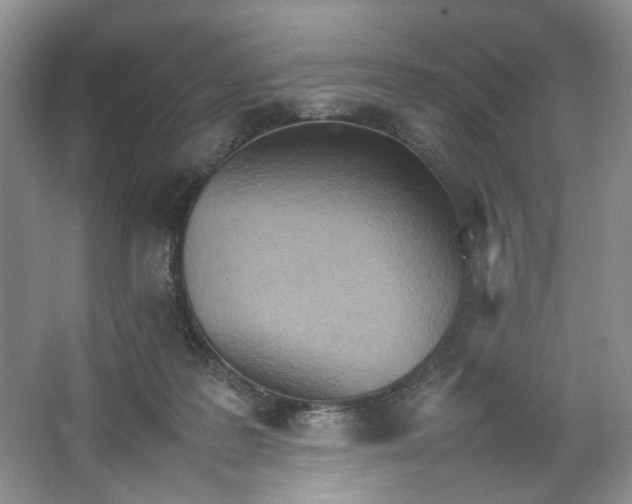 X0000064040219200602101433