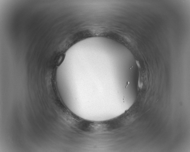 X0000064040221200602101433