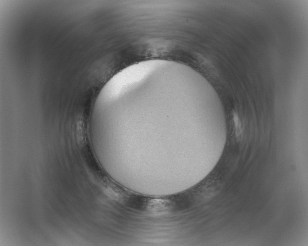 X0000064040222200602101433