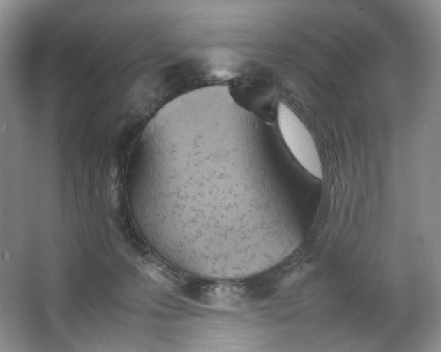 X0000064040223200602101433