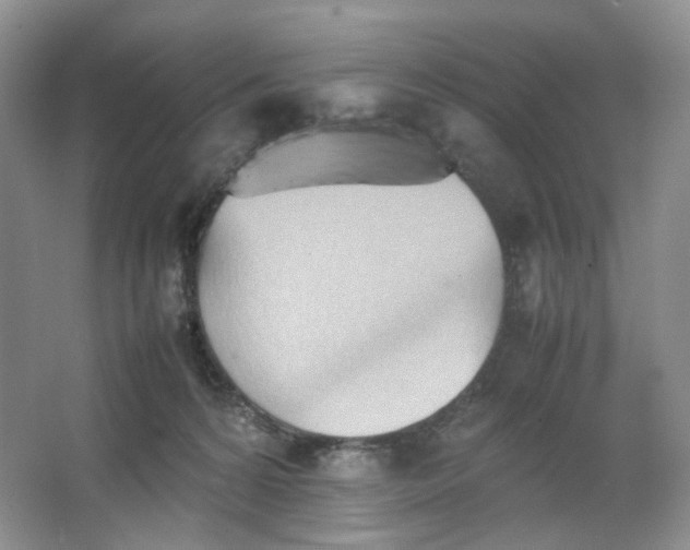 X0000064040224200602101433