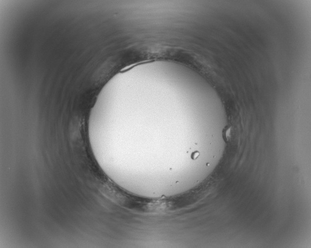 X0000064040225200602101433