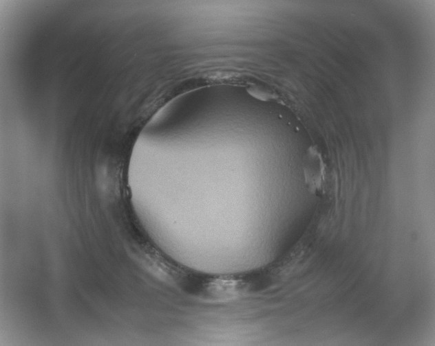 X0000064040227200602101433