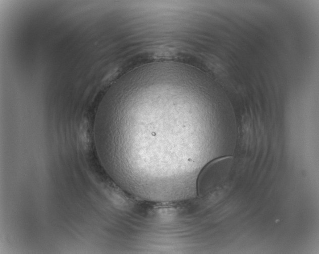 X0000064040228200602101433