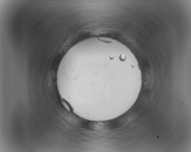 X0000064040229200602101433