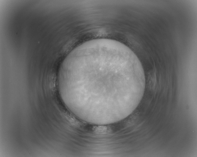 X0000064040230200602101433