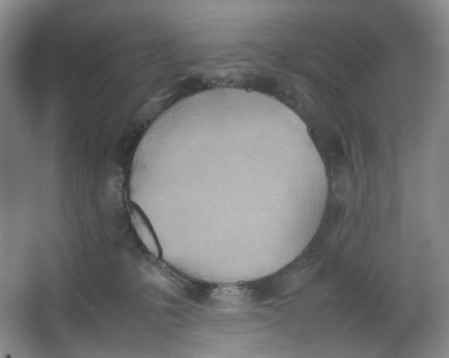 X0000064040231200602101433