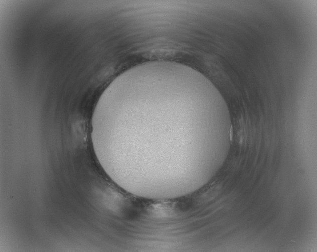 X0000064040232200602101433