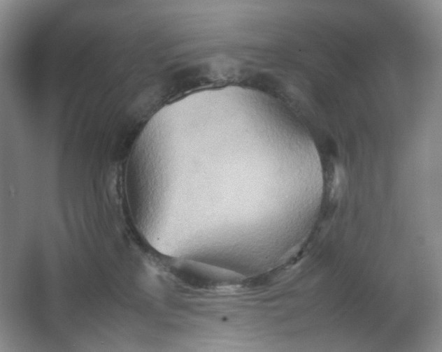 X0000064040233200602101433