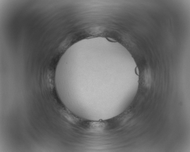 X0000064040234200602101433