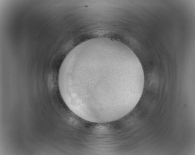 X0000064040236200602101433