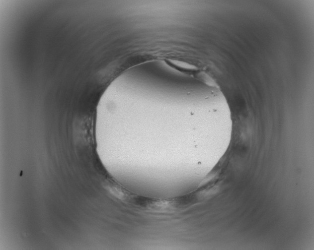 X0000064040237200602101433