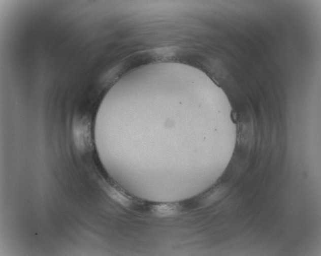 X0000064040238200602101433