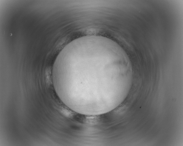 X0000064040240200602101433