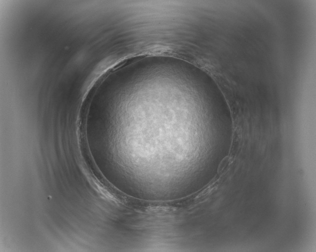 X0000064040242200602101432