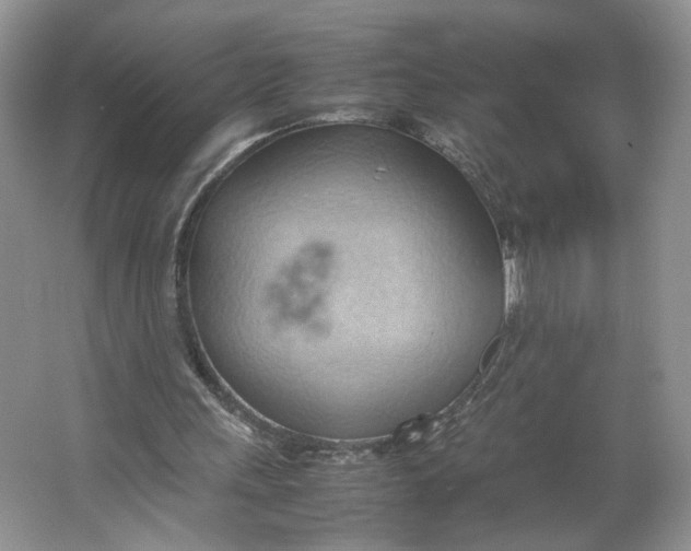 X0000064040243200602101432