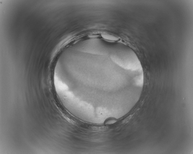 X0000064040245200602101432