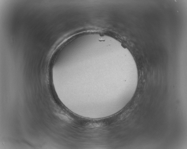 X0000064040247200602101432