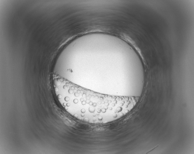 X0000064040249200602101432