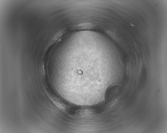 X0000064040254200602101432