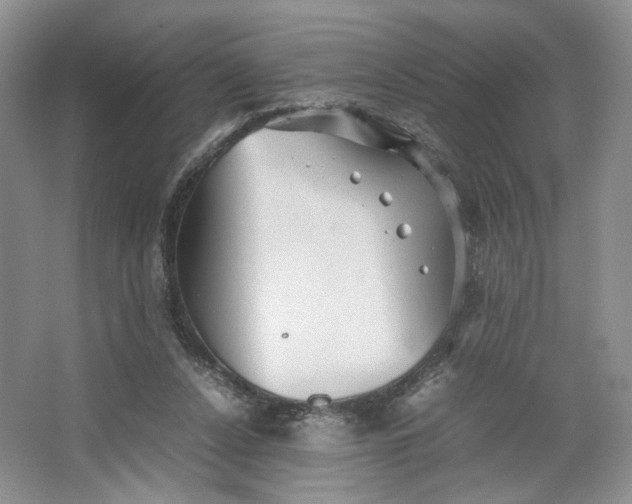 X0000064040256200602101432