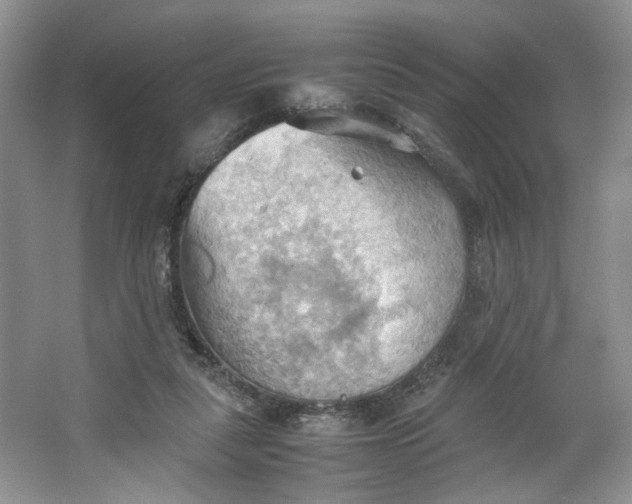 X0000064040259200602101432