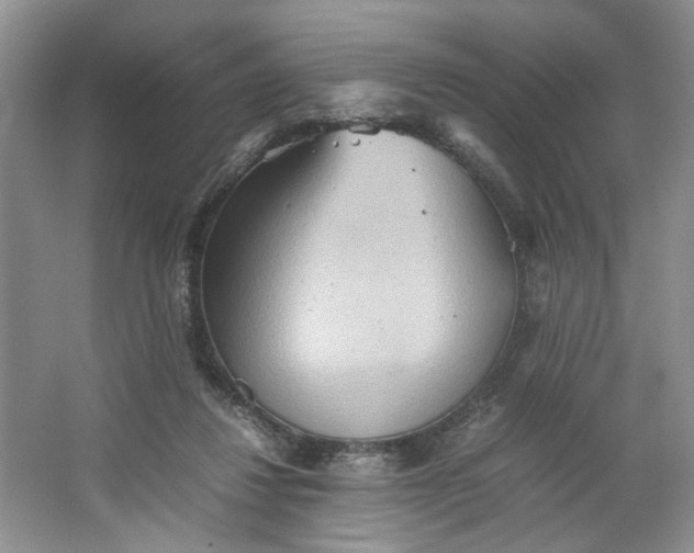 X0000064040260200602101432