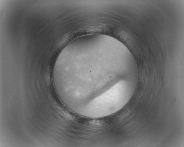 X0000064040261200602101432