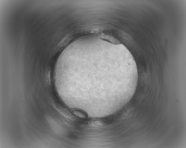 X0000064040262200602101432